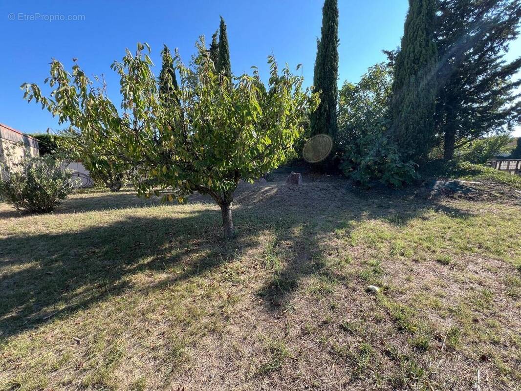 Photo 1 - Terrain à LE THOR