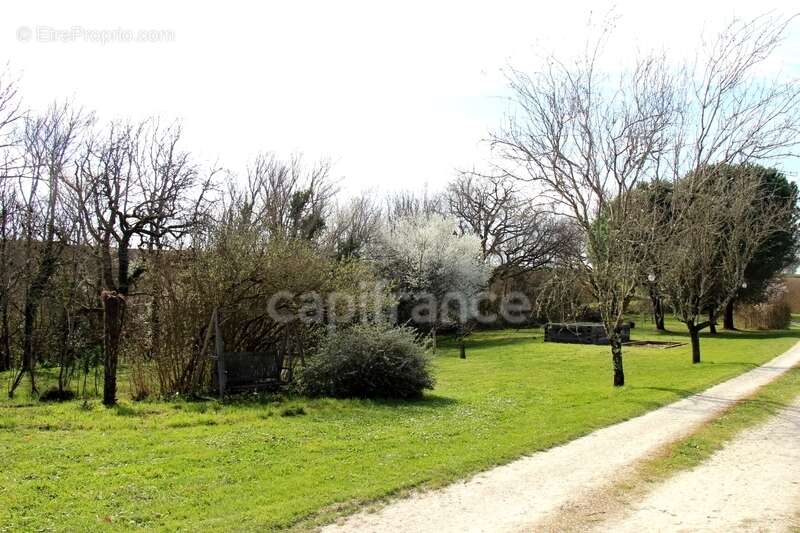 Maison à SAINT-CLAR