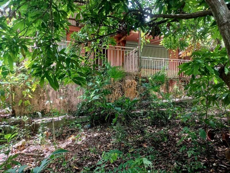 Maison à SAINTE-ANNE