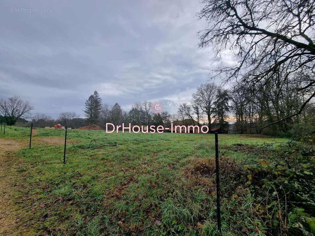 Terrain à SAINTE-ALVERE