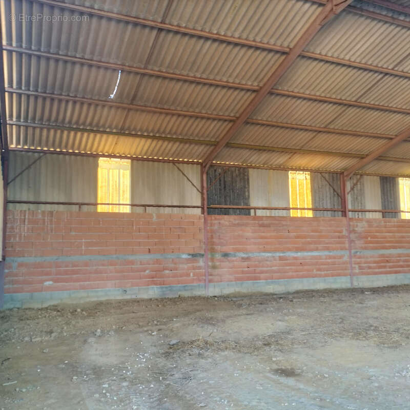 Maison et grandes bâtiments agricoles, terrain 5000m2, vue Pyrénées - photo 24