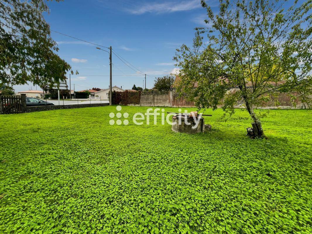 Terrain à PAUILLAC