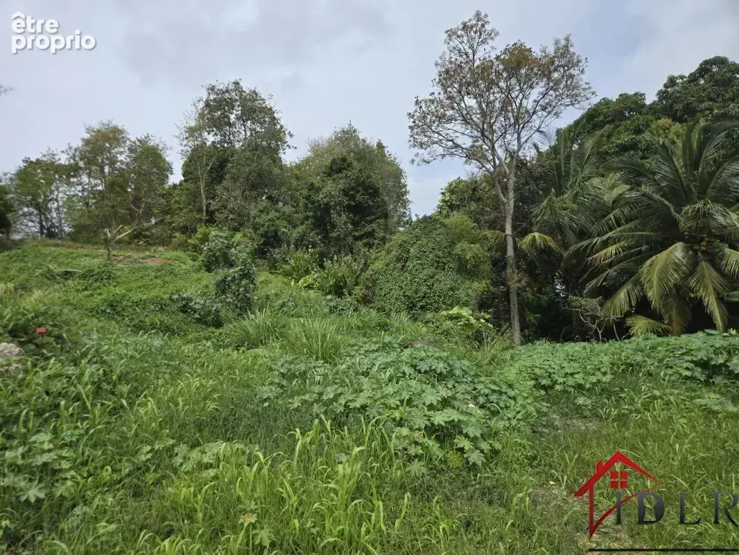 Terrain à LES ABYMES