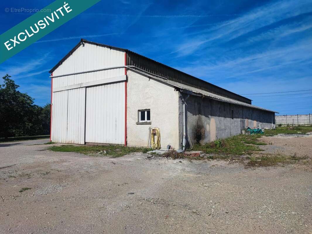 Commerce 373 m² à Cosne-Cours-Sur-Loire  - photo 4