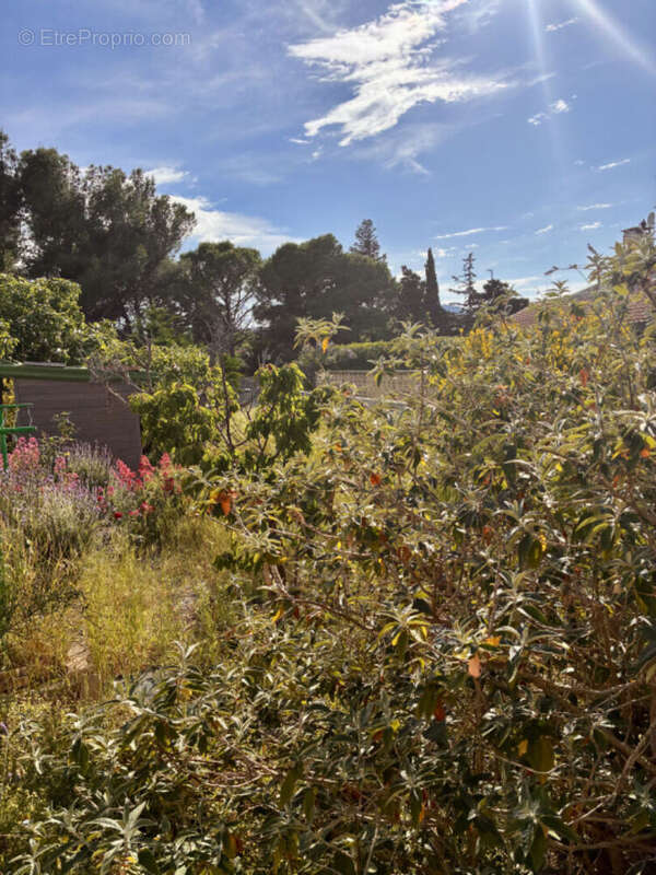 Maison à LA PALME