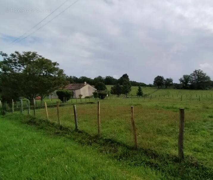 Terrain à SEREILHAC