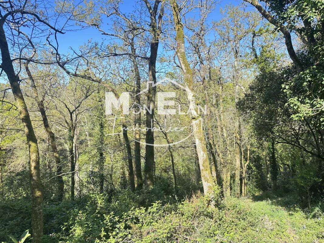 Maison à MAUVES-SUR-LOIRE