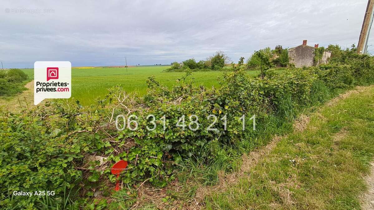 Terrain constructible  1621 m2 non viabilise - photo 2