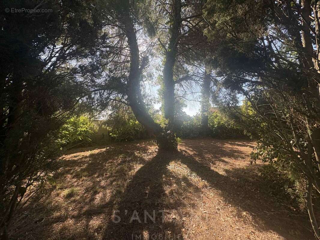 Terrain à MONTBAZIN