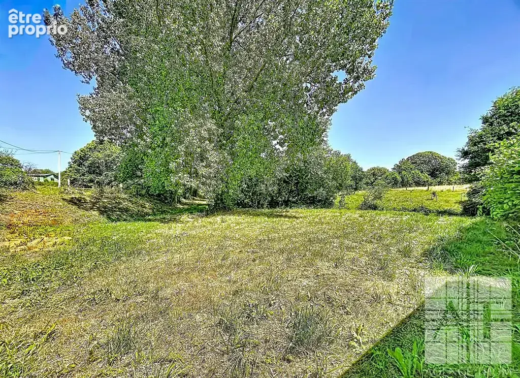 Propriété en pierre à rénover avec dépendances et 4 187 m² de terrain - photo 16