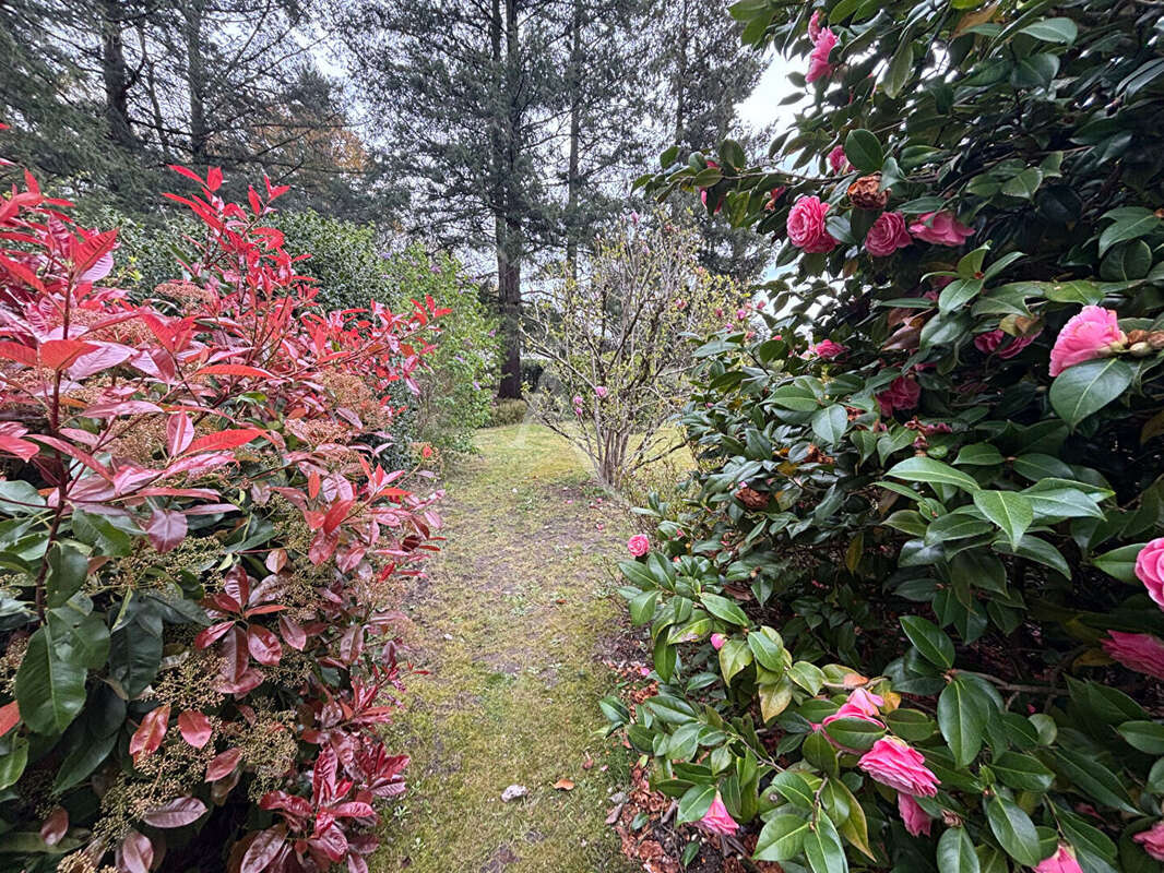Maison à NOUAN-LE-FUZELIER