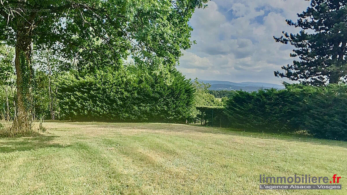 Terrain 3350 m² à Nayemont-Les-Fosses  - photo 6