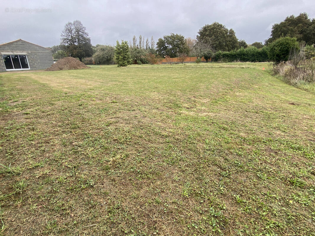 Terrain à ARTHON-EN-RETZ