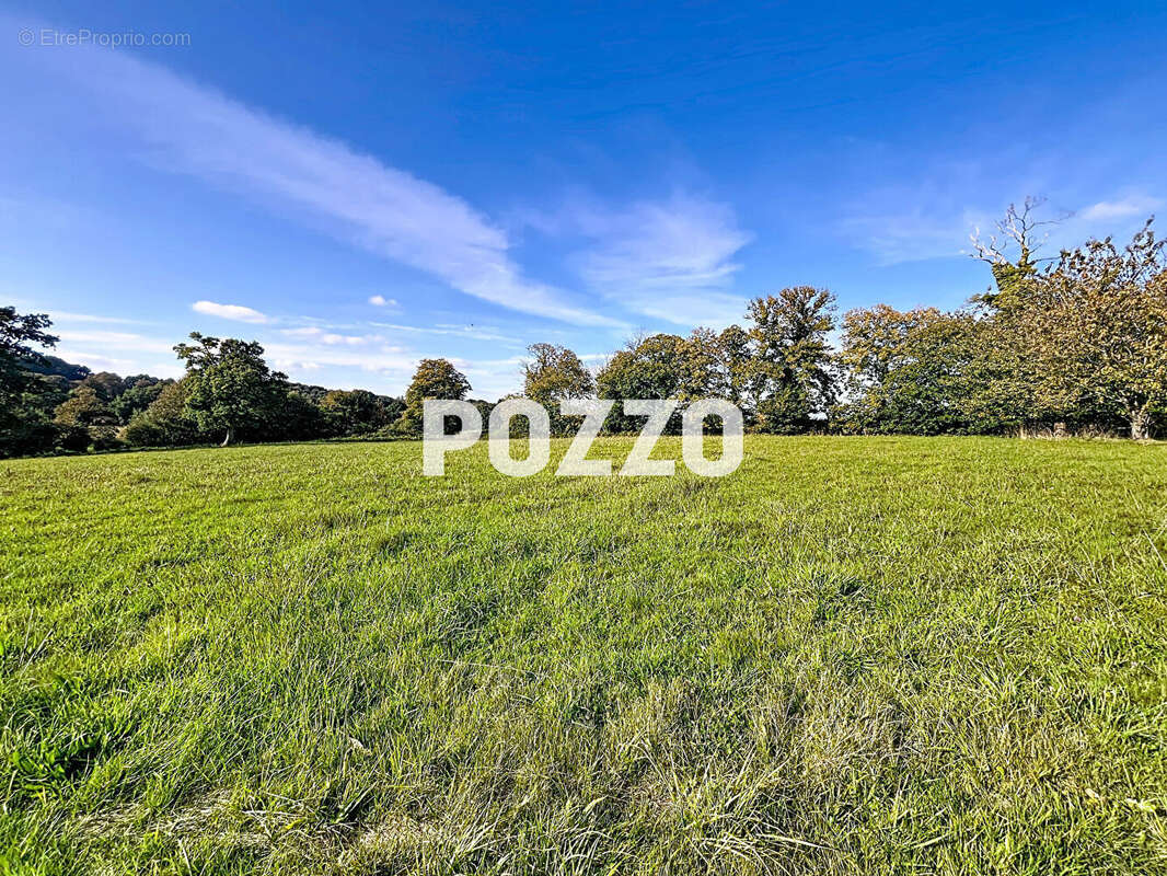 Maison à LOUVIGNE-DU-DESERT