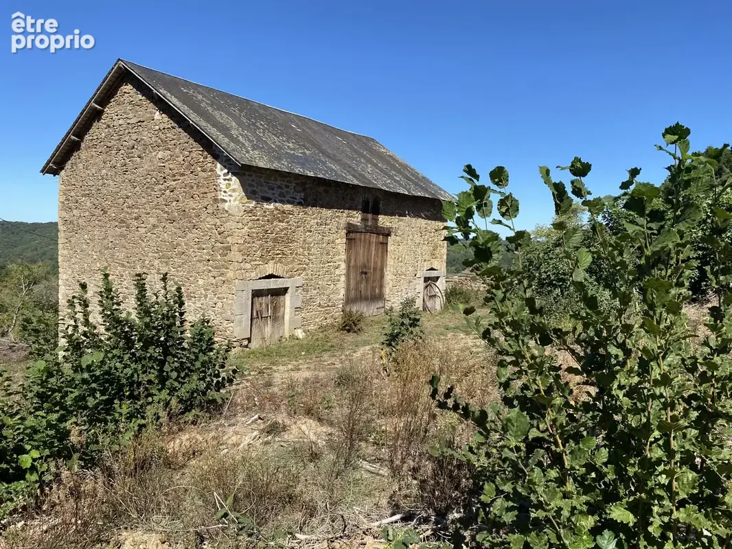 Terrain 13 287 m² à vendre à Neuvic-Entier (87130) - photo 6