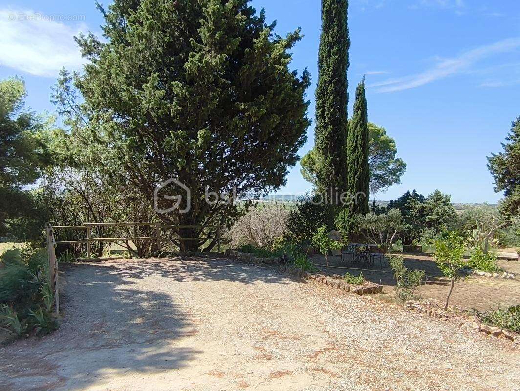 Domaine de 2 hectares - photo 21