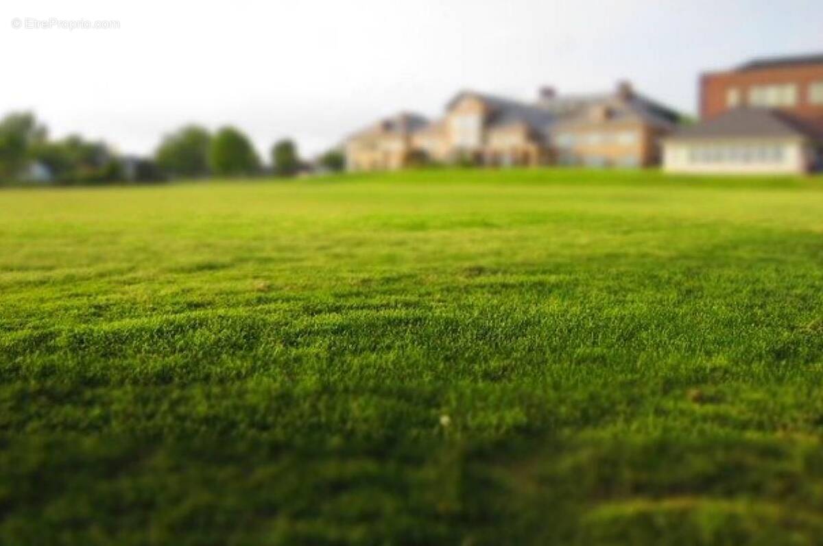 Terrain à SAINT-GEORGES-DU-BOIS