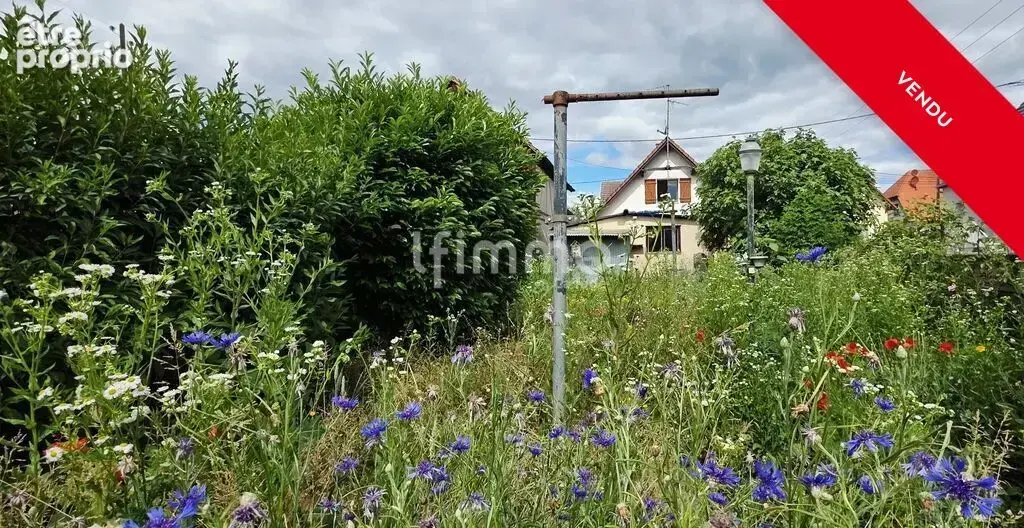 Charmante maison avec jardin et dépendances- Rossfeld - photo 2