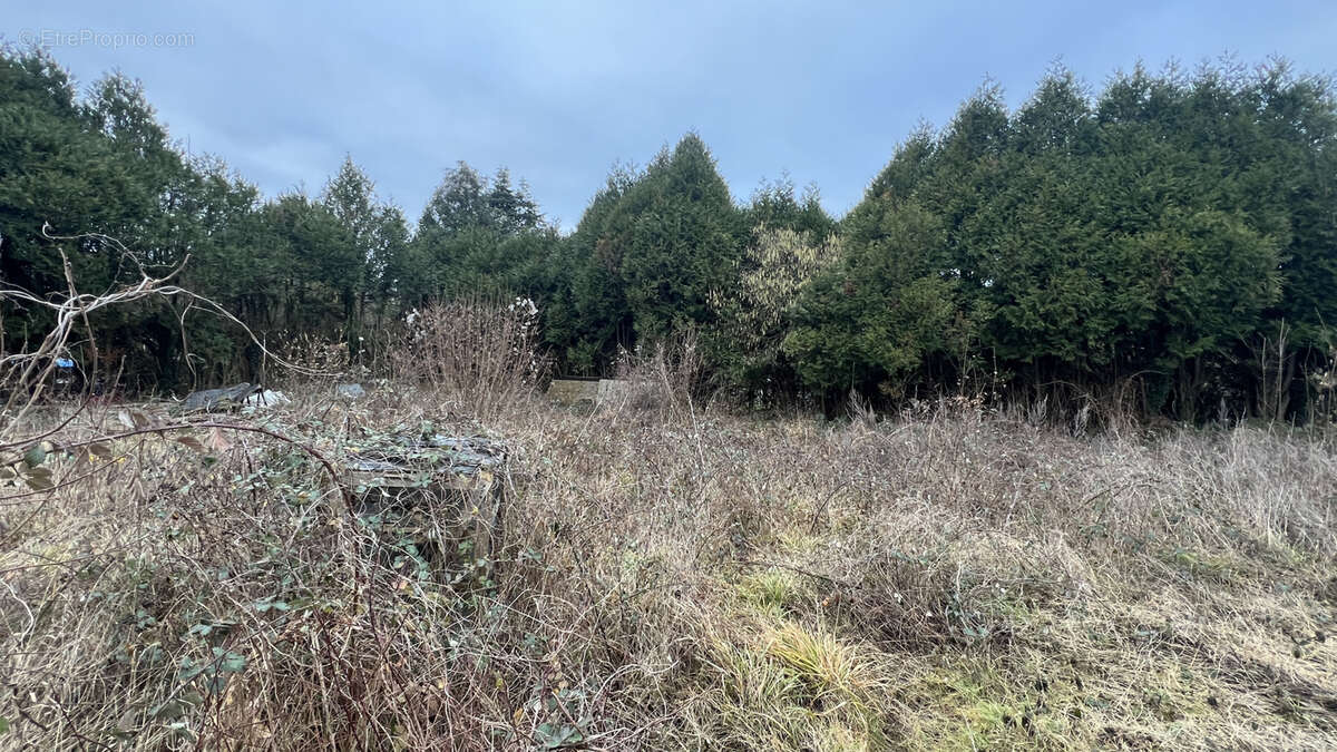 Terrain à BOUTIGNY-SUR-ESSONNE