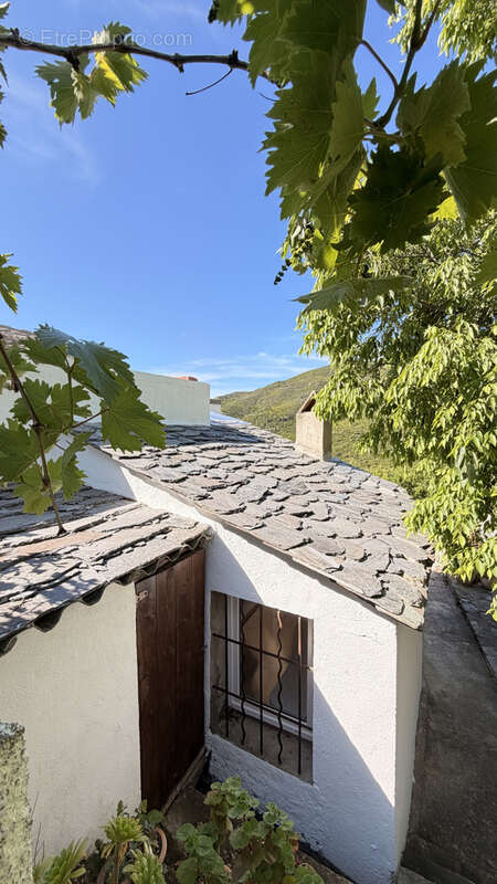 Maison à BARBAGGIO