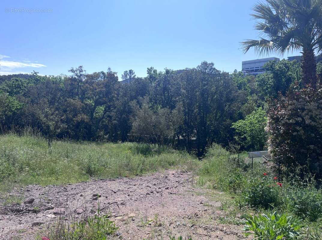 Terrain à SAINT-RAPHAEL