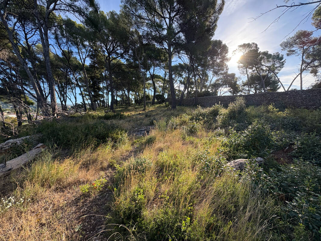 Terrain à OLLIOULES