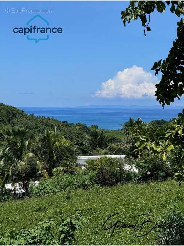 Terrain à SAINTE-ROSE