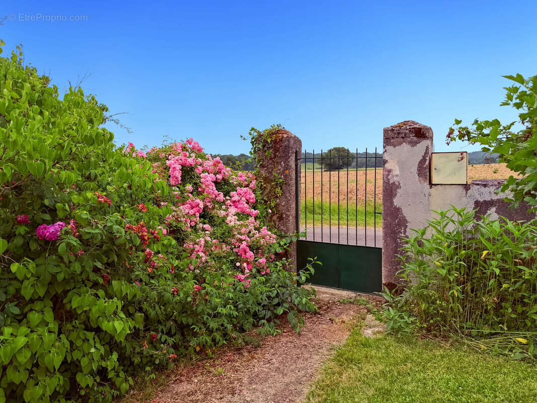 Propriété 358 m2 à vendre -avec 7700 m2 de parc - Maison 8 pièces de 234 m2, gîte de 124 m2 et piscine proche de MARCIAC (32) - photo 21