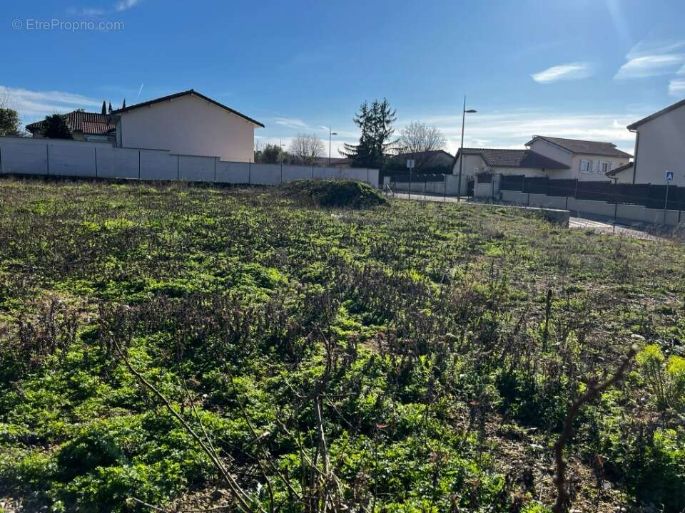 Terrain 542 m² à Solaize  - photo 3