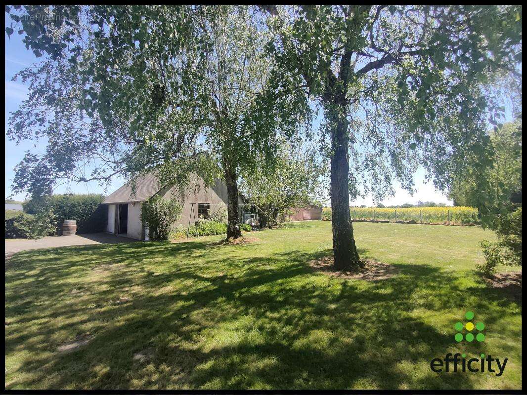 Maison 225 m² à Saint-Jean-Sur-Vilaine  - photo 3