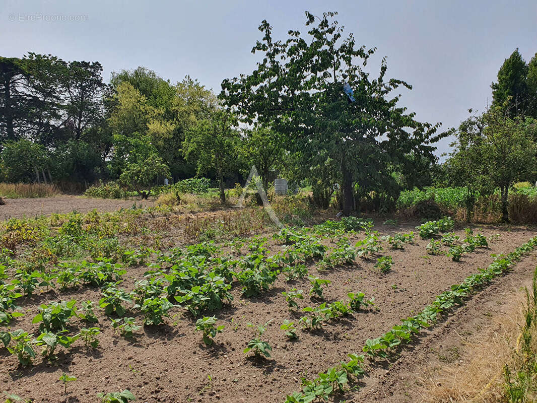 Maison à NOYERS-SUR-CHER