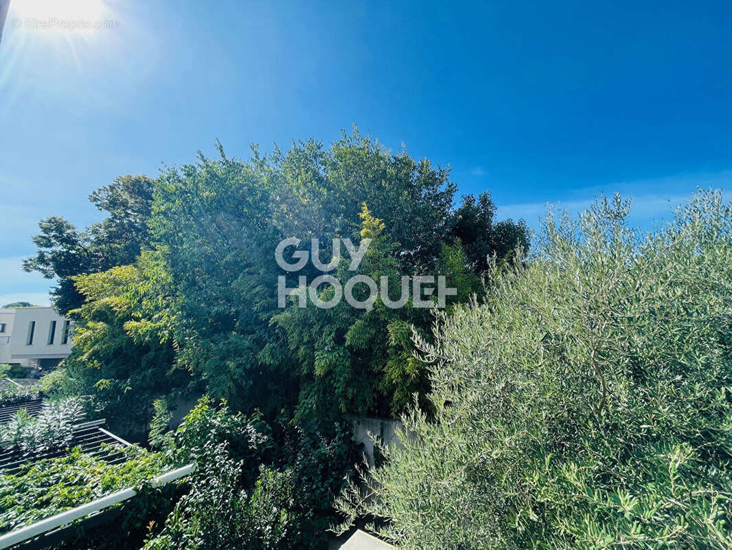 Maison à MONTPELLIER