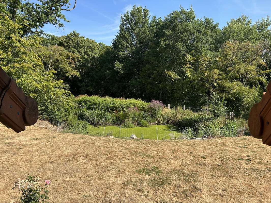 Propriété 3,7 ha : maison ancienne rénovée, mare, friche, bois, prairie - photo 15