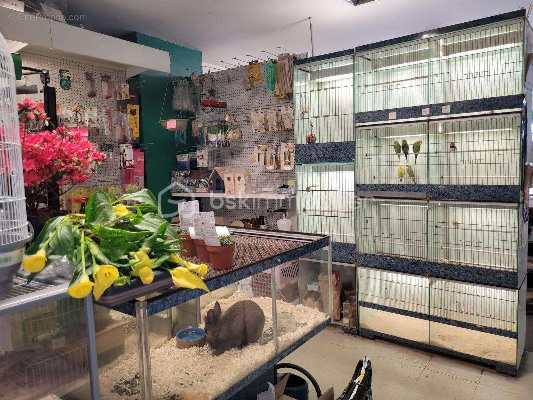 Commerce à MONTAUBAN