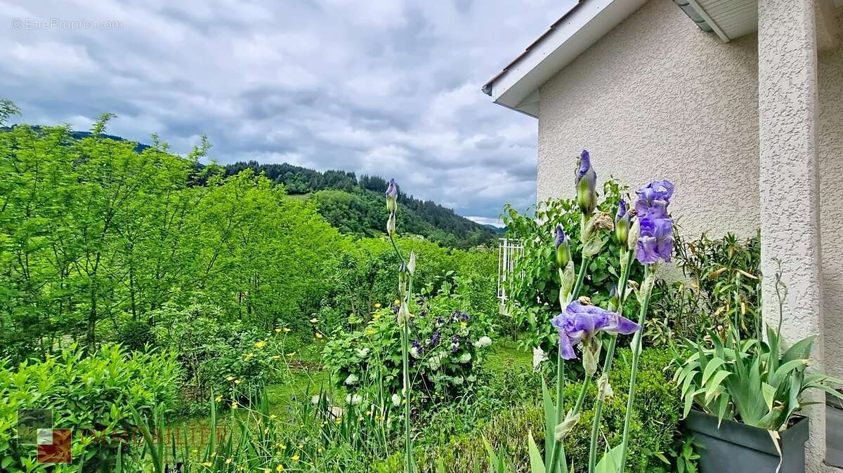 Maison à LAMURE-SUR-AZERGUES