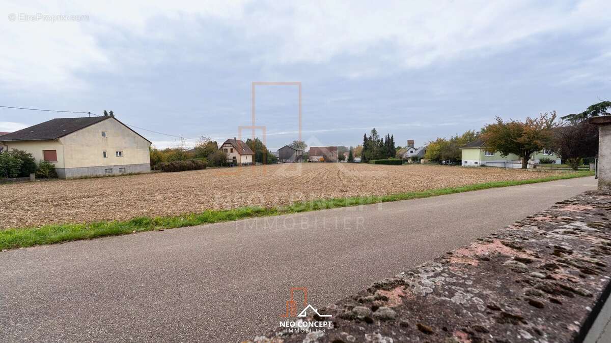 Maison à STUTZHEIM-OFFENHEIM