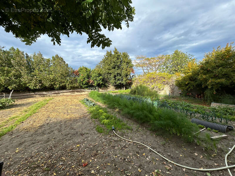 Maison à PIERRELATTE