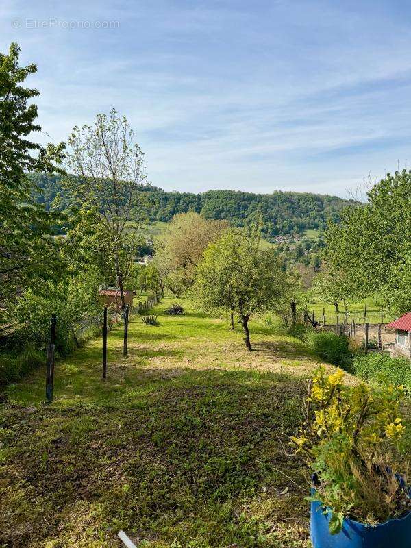 Maison avec grange réhabilitable – Fort potentiel – Voissant - photo 11