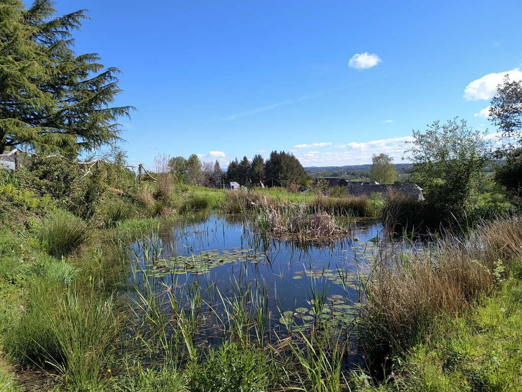 Maison à SAINT-PARDOUX-L'ORTIGIER