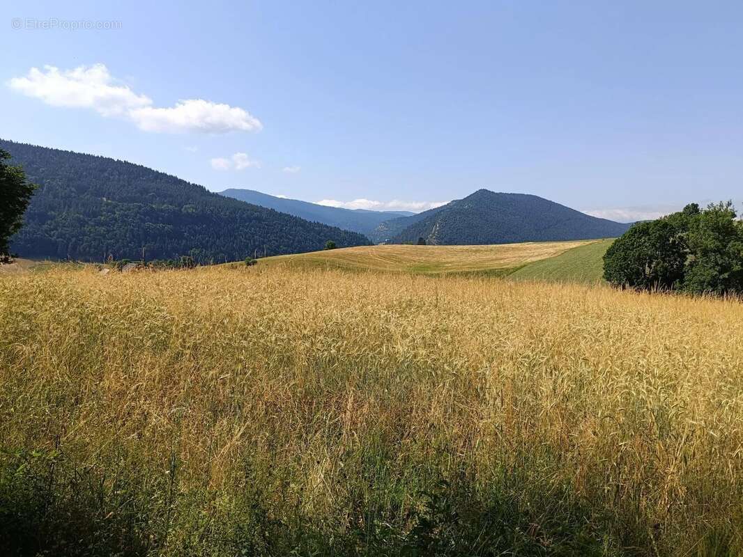 Terrain à VILLARD-DE-LANS