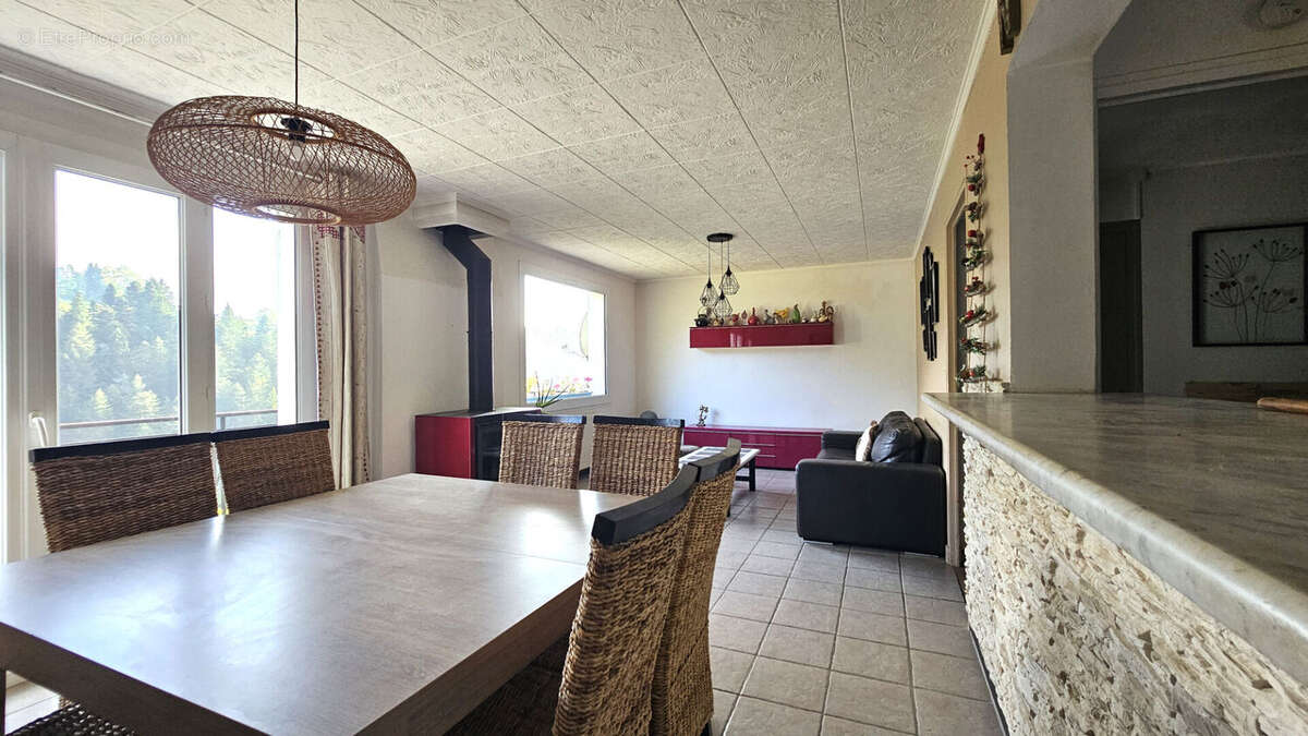 Maison à SAINT-PIERRE-DE-CHARTREUSE