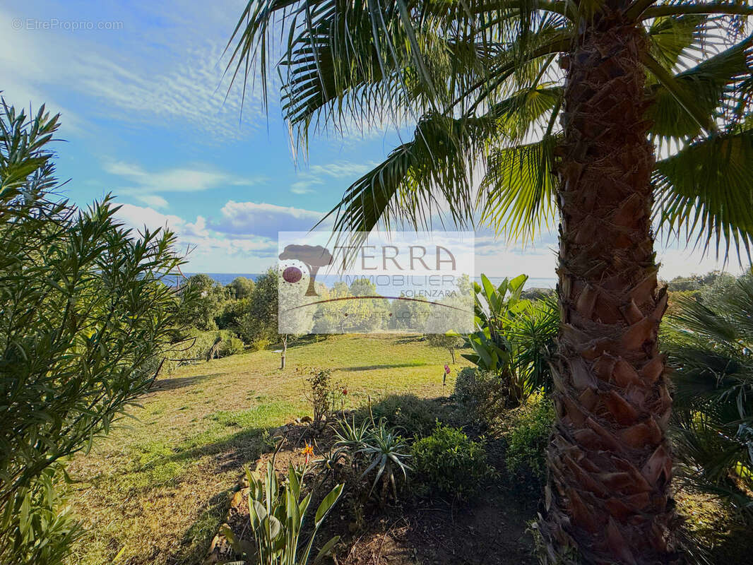 Villa de 110 m2 sur 3.200 m2 de terrain 20145 SOLENZARA - photo 12