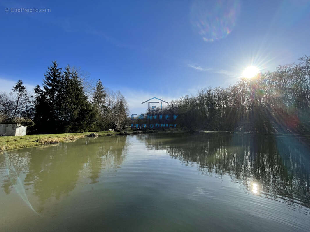 Terrain de loisir avec 3 etangs - axe lure / villersexel - photo 9