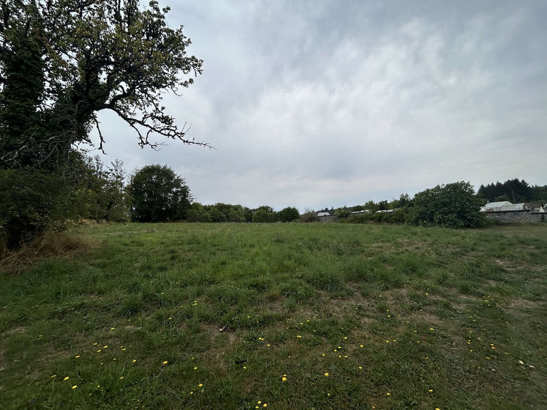 Terrain à NAVES