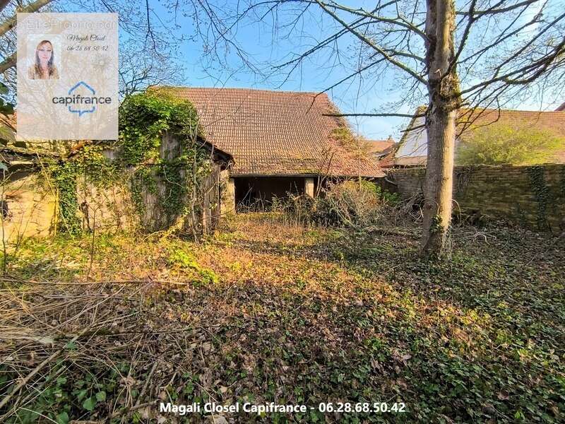 Maison à PIERRE-DE-BRESSE