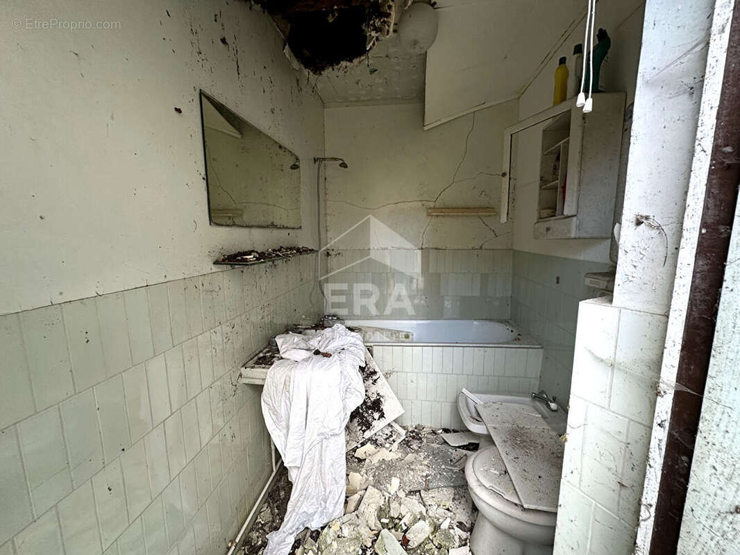 Maison 257m² à chaumont - photo 11