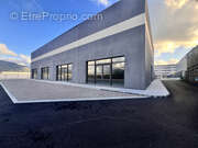 Commerce à SARROLA-CARCOPINO