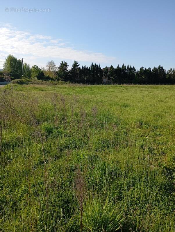 Terrain à LENS-LESTANG