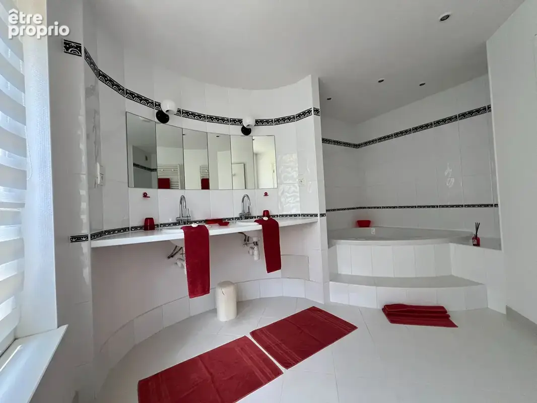 Appartement 460m² à aslonnes - photo 16