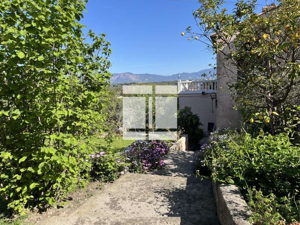 Maison à PIETROSELLA